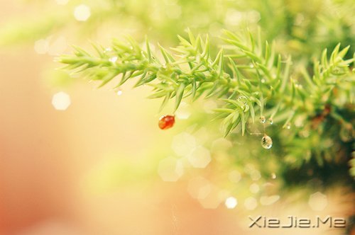 不要艳羡他人，不要输掉自己 (3)