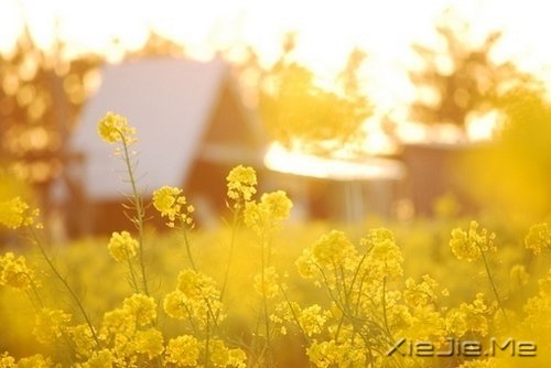 不要艳羡他人，不要输掉自己 (5)