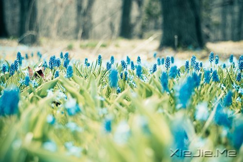 不要艳羡他人，不要输掉自己 (6)