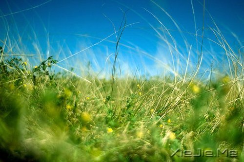 不要艳羡他人，不要输掉自己 (10)