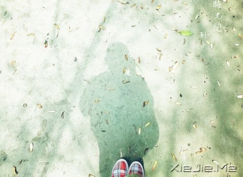 晚安心语：我想要用我的方式飞翔一次 (3)