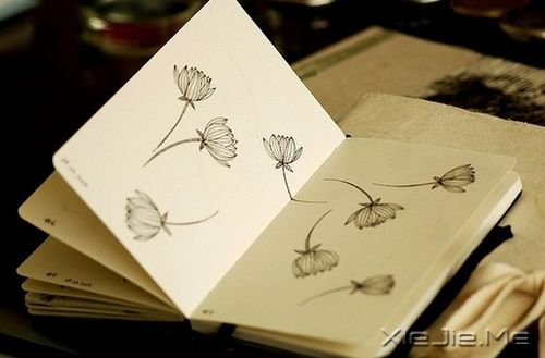 晚安心语：过去无法重写，但它却让我更加坚强 (7)